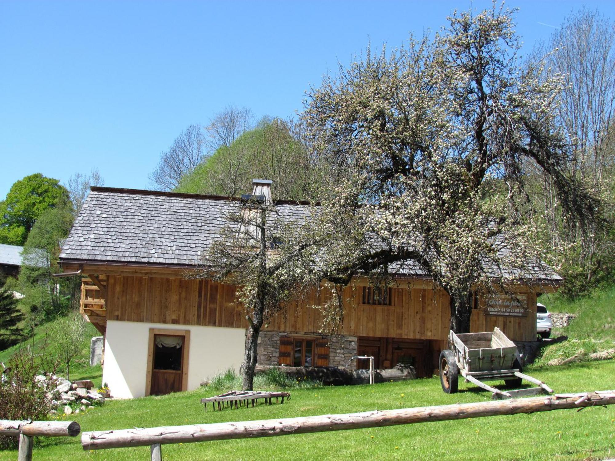 Chez La Fine Bed & Breakfast Les Gets Exterior photo